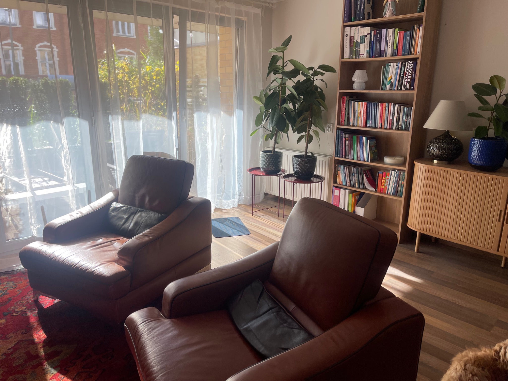 Jasne wnętrze gabinetu Neurobik z biblioteczką